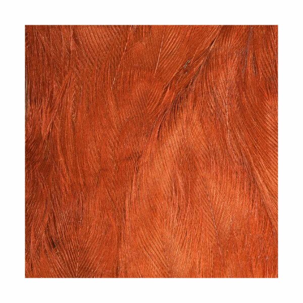 HEN NECKS, Fly Tying Jann's Netcraft